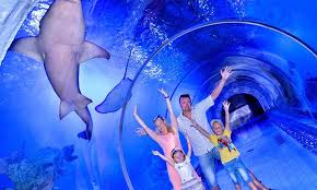 Hurghada Grand Aquarium